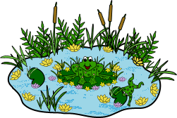 frog on pond